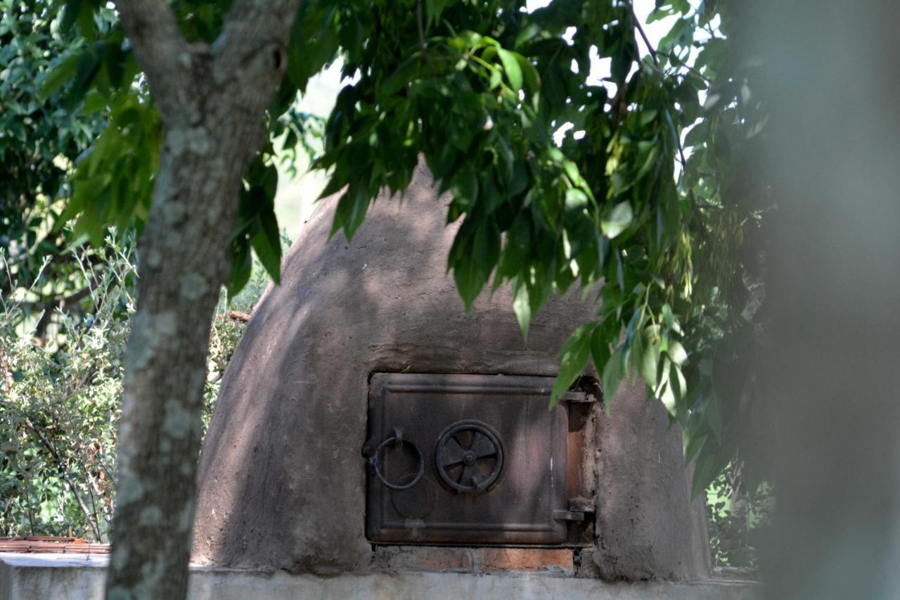 Ferienwohnung La Monturera, Loft De Campo Colonia del Sacramento Exterior foto