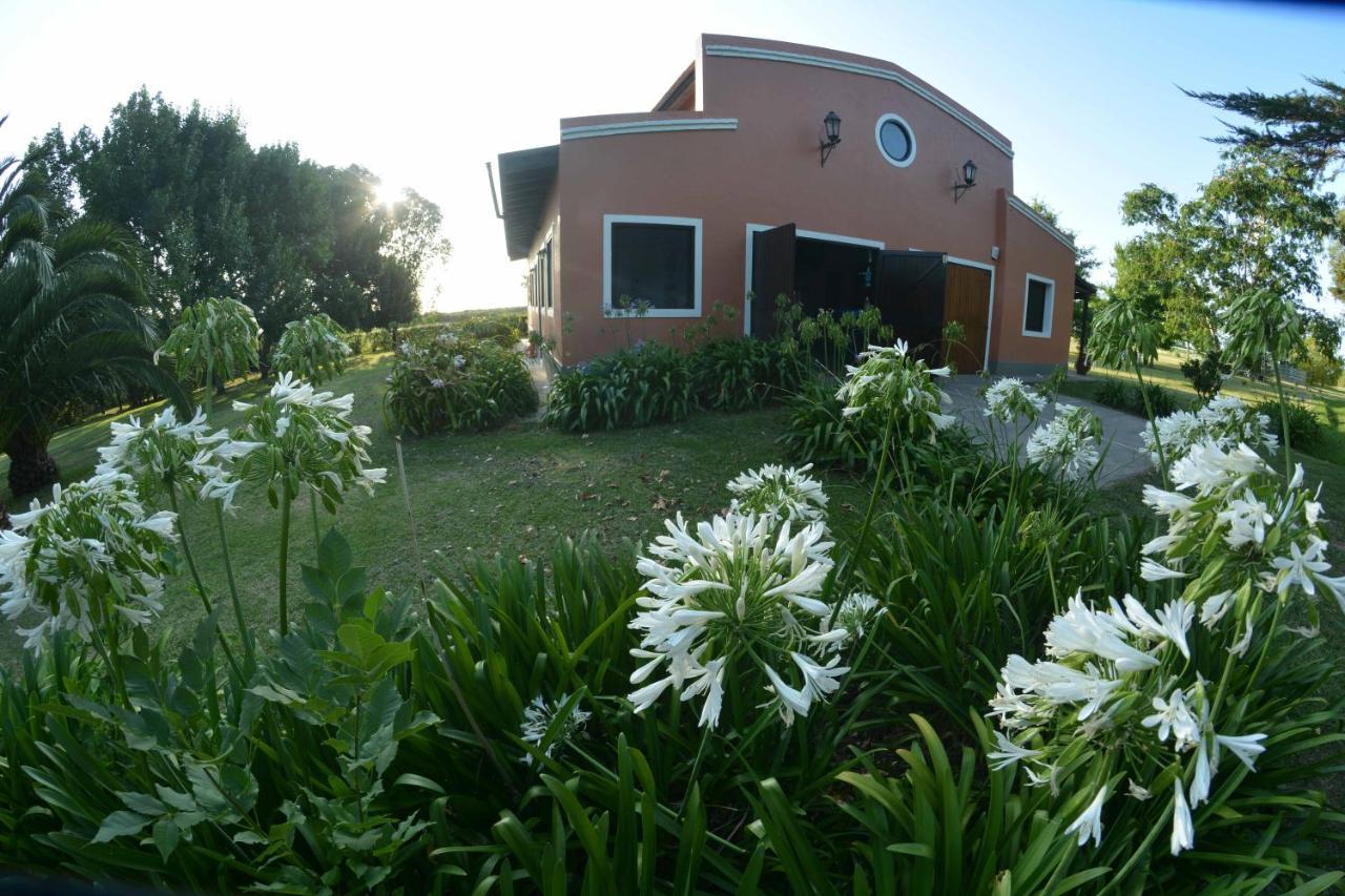 Ferienwohnung La Monturera, Loft De Campo Colonia del Sacramento Exterior foto