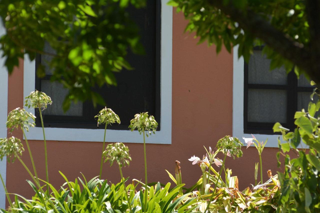 Ferienwohnung La Monturera, Loft De Campo Colonia del Sacramento Exterior foto