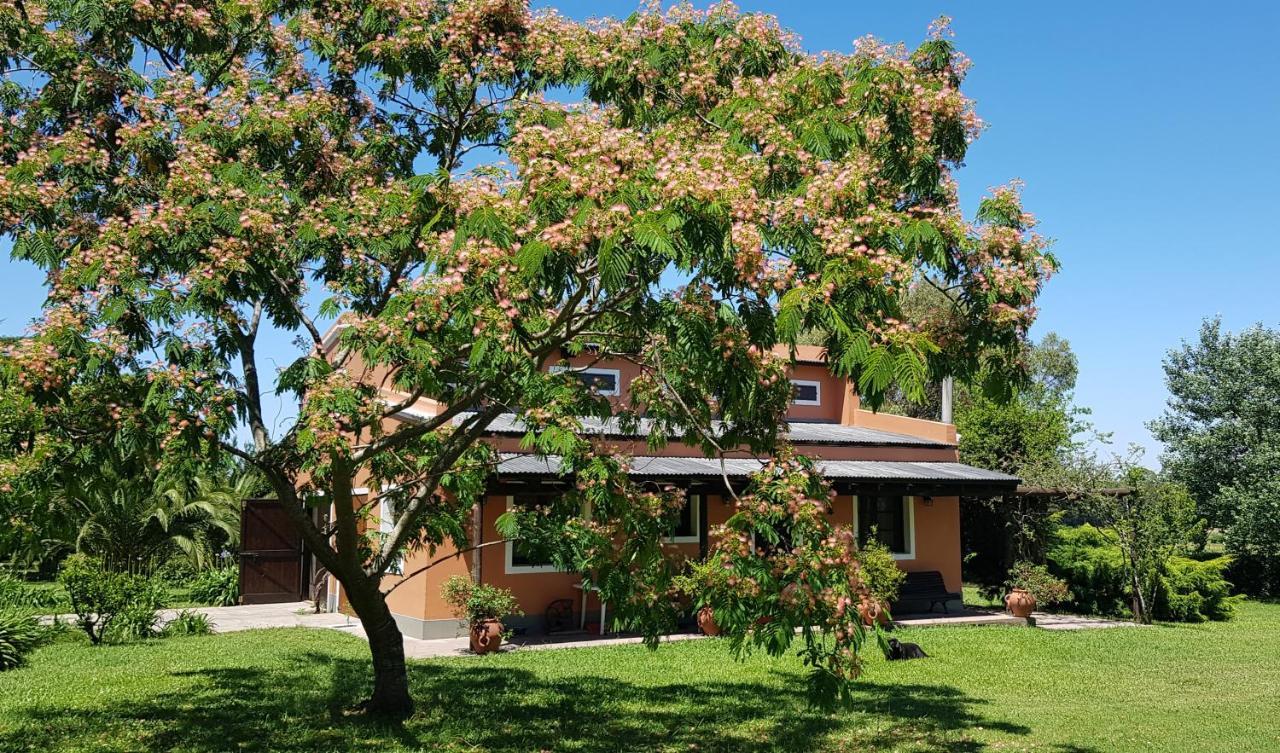 Ferienwohnung La Monturera, Loft De Campo Colonia del Sacramento Exterior foto